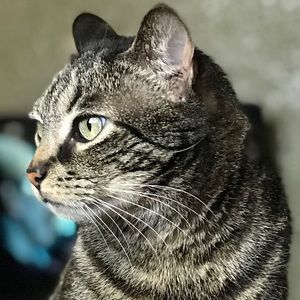 Meet your Posher, Mayra